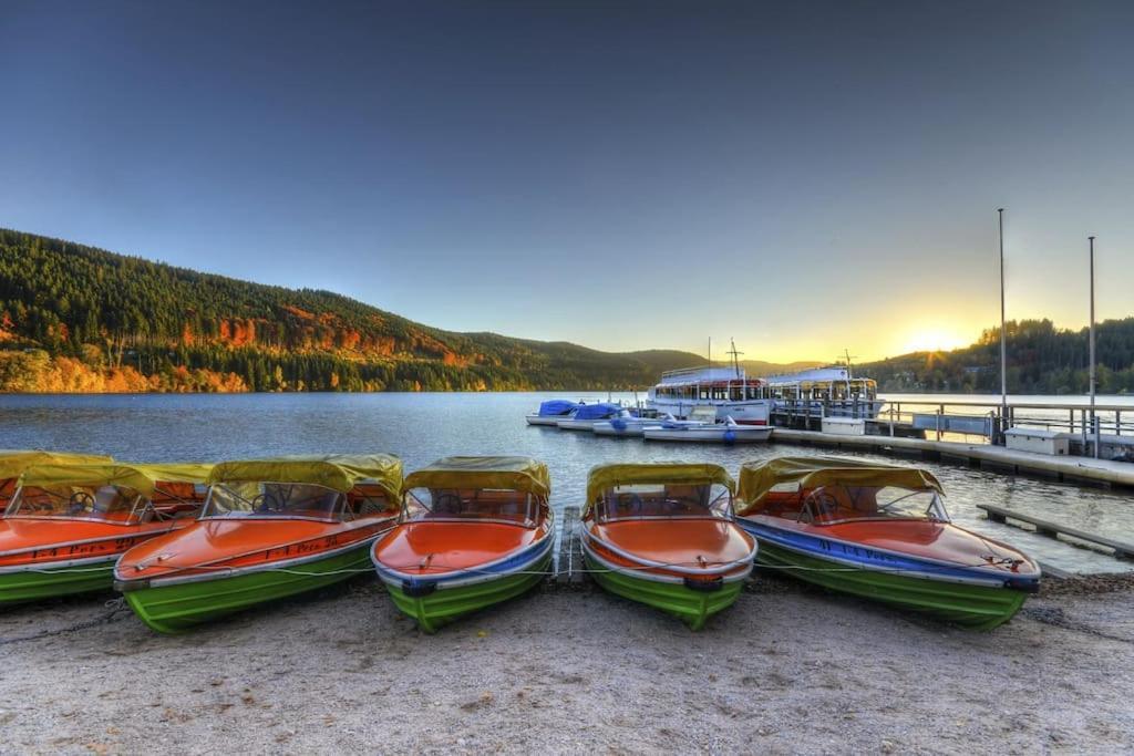 Sieben Tannen Titisee + Hochschwarzwald Card Apartamento Exterior foto