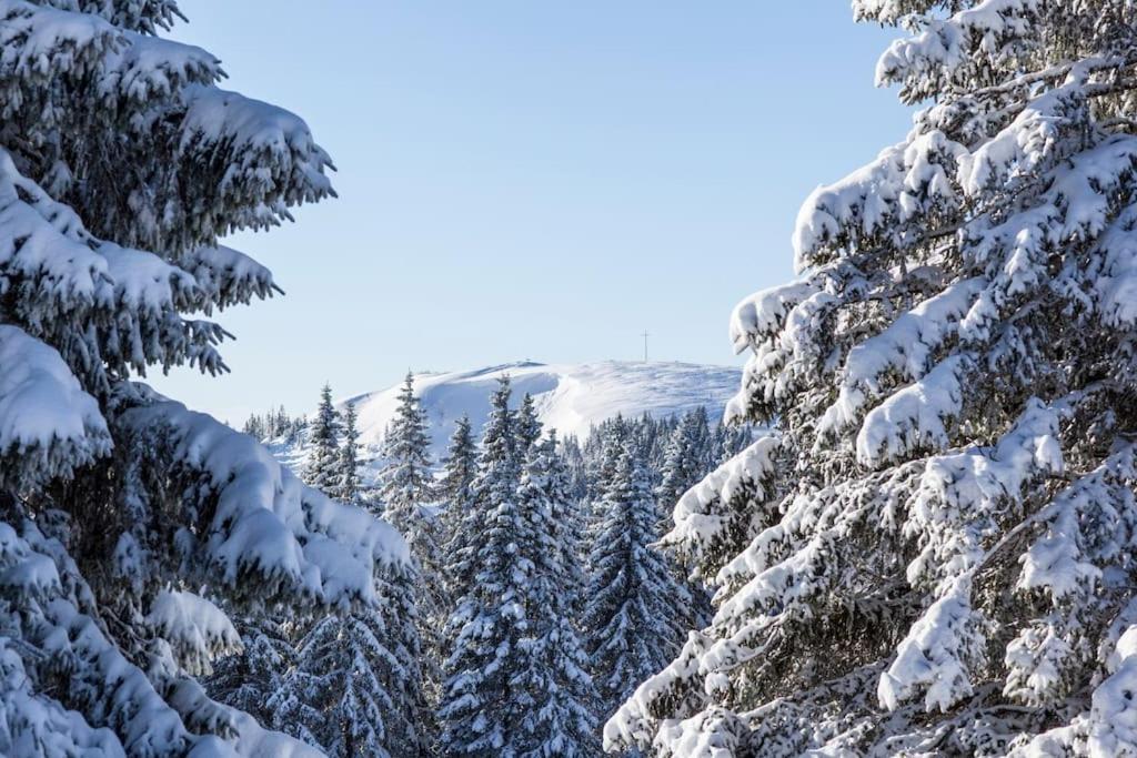 Sieben Tannen Titisee + Hochschwarzwald Card Apartamento Exterior foto