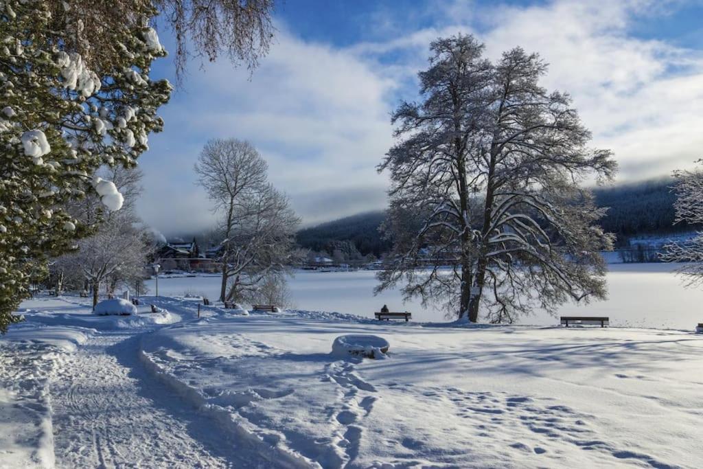 Sieben Tannen Titisee + Hochschwarzwald Card Apartamento Exterior foto